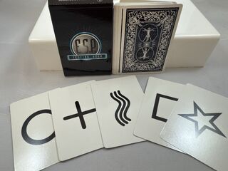 Vernet ESP Tesing Deck.3.jpeg